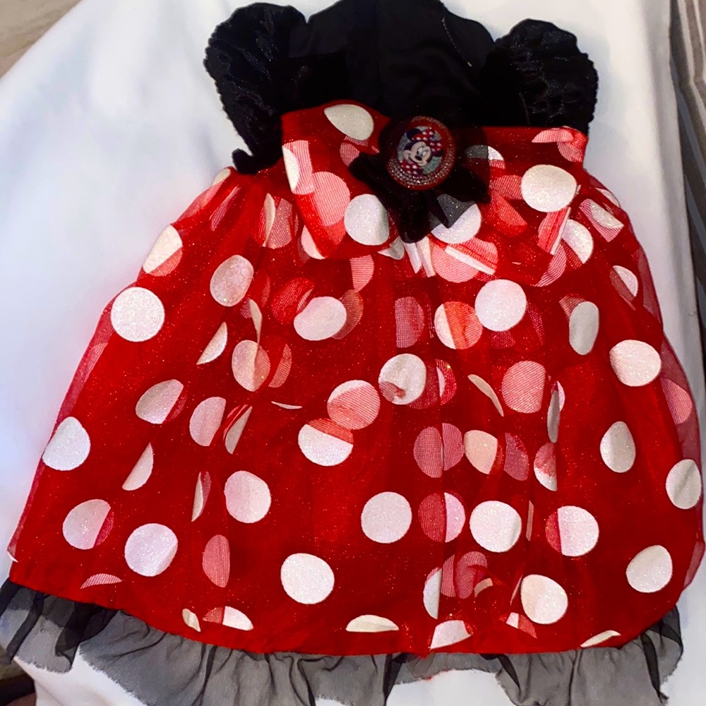 Minnie Mouse costume